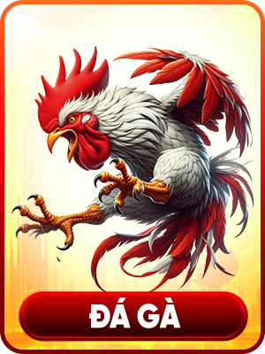 Đá gà 789P