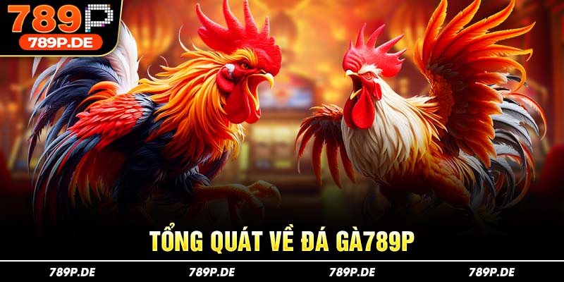 Tổng quát về đá gà 789p